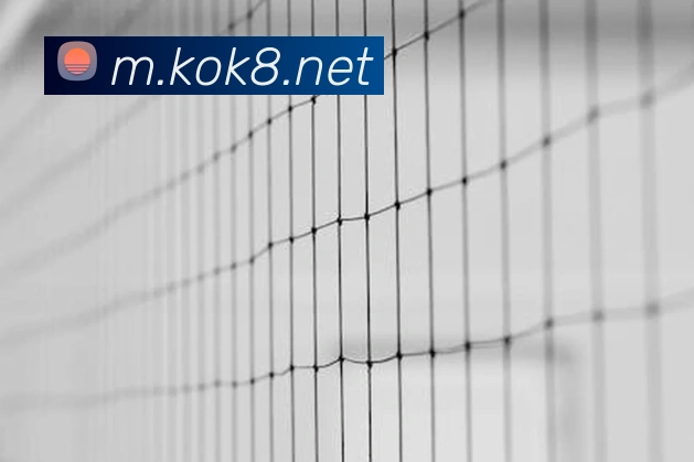 kok中国官网APP 高清赛事图